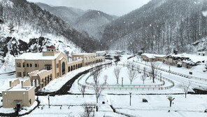 안전 교육-놀이 동시에… ‘365세이프타운’은 만점 가족 여행지