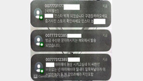 ‘금리 12000%’ 불법대출 못 갚자 초등자녀에 ‘성적학대’ 협박문자
