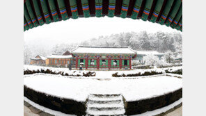 홍천강서 송어 낚고 천년고찰서 힐링