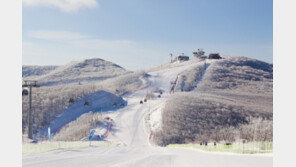 눈부시게 희어서 더 아름다운… 가리왕산 ‘눈꽃 왕국’
