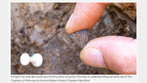 英 연구진 “40만년 전 고인류 ‘불 사용’ 흔적 발견…불 사용 시점 35만년 당겨야”