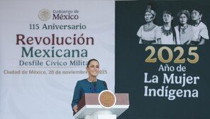 멕시코, 한국·중국에 ‘관세 최대 50% 부과’ 법안 통과…FTA 미체결국 겨냥