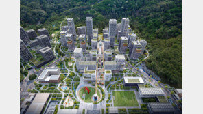 서울 강남 마지막 판자촌 구룡마을 재개발 계획안 시 심의 통과