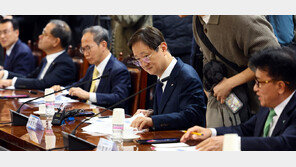 금감원 ‘소비자 보호’ 기능 강화…원장 직속 총괄본부 신설 유력