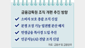 금감원, 22일 조직개편… 소비자보호기능 ‘원장 직속’ 설치 유력