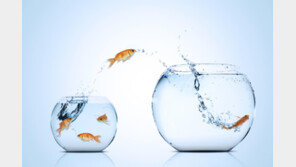 [HBR 인사이트]리더로 승진한 당신에게 전하는 조언, ‘내려놓기’