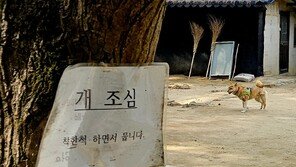 [고양이 눈]오해하지 마세요