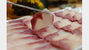 “이거 대(大)자 맞아요?”…방어 한 접시 가격 보고 충격