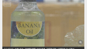 손발 경련 ‘좀비 담배’ 日 전역 확산…SNS 거래로 젊은층 유입