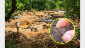 “35만 년 전 기록은 옛말”…인류 최초의 불, 역사를 갈아엎다