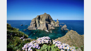 해군, 23일에 하반기 독도 방어 훈련 시행…日 반발 수위 주목