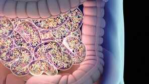 사람 몸에 사는 균의 총량은 2㎏으로 거의 일정