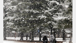 밤부터 눈 쏟아진다… 수도권 최대 7cm, 강원 10~15cm 예상