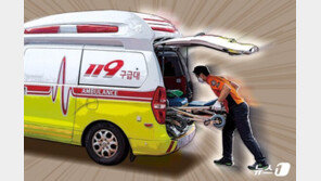 세종·전남 중증응급환자 2명 중 1명은 지역 외 응급실 이용