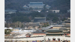 경호처 “靑 주변 달리기 ‘댕댕런’ 보장…통제 최소화”