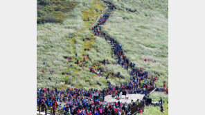 울산, 해양산악레저특구 지정… 체류형 복합관광도시 만든다