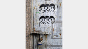 [고양이 눈]“웃는 얼굴 좋아요”