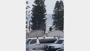 호주 시드니 본다이 해변서 총기 난사…10명 사망