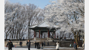 이번주 아침 영하권 강추위 이어져…강원 비·눈