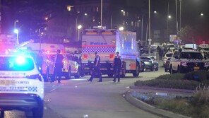 시드니 총기난사 용의자, 아버지와 아들 2인조…사망 16명