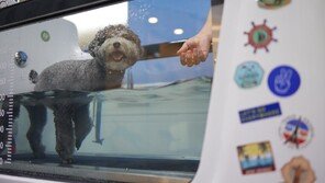 이지동물의료센터, 베트남 수의학 인턴 방문…재활 시스템 현장 견학