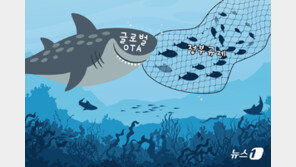 여권·카드번호까지 싹 다 넣었는데…트립닷컴·아고다 등 ‘깜깜이’