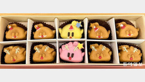 성탄절 품은 꿈돌이호두과자 출시