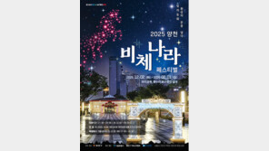 [양천구] 겨울밤 밝히는 도심 속 빛의 동화