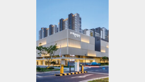 [송파구] 루이비통도 반한 명품 책박물관