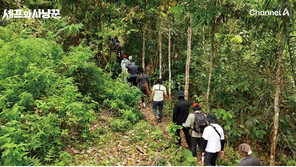 야생에서 펼쳐진 미식 신세계