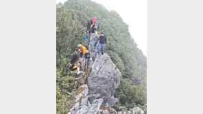 셀카 찍다 절벽서 15m 추락…나무에 걸려 ‘구사일생’