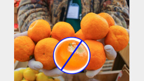 “도려내면 괜찮겠지?” 곰팡이 핀 귤 먹었다간…[알쓸톡]