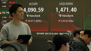 AI 거품론 재점화에 코스피 또 흔들…환율도 1480원선 위협