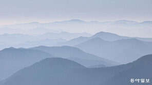[포토에세이]한 폭의 수묵화처럼