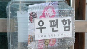 [고양이 눈]역할의 전환