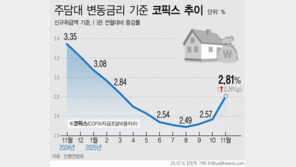 주담대 변동금리 3년 만에 최대폭 상승…11월 코픽스 0.24%p↑