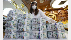 국민연금 ‘환율 소방수’ 본격화…한은과 외환스와프 내년말까지 연장