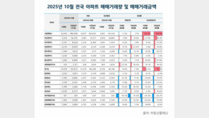 숨고르기 들어섰던 10월 전국 부동산 시장…“관망세 지속”