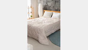 땀 흘려도 안 찝찝하고 따뜻함은 덤… ‘100% 양모’ 이불로 겨울철에도 숙면