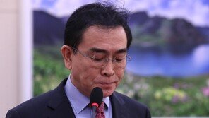 “제주 4·3 김일성 지시는 사실”…태영호, 1천만원 배상 불복 항소