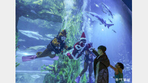 아쿠아리움서 만나는 산타와 루돌프