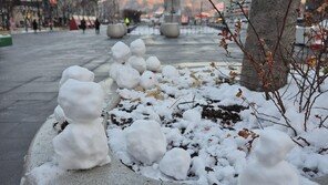 [고양이 눈]도심 속 낭만
