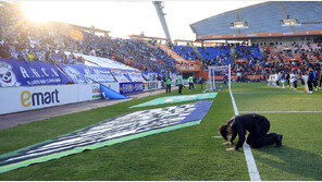 삼성 4대 스포츠 ‘명암’… 축구-배구 추락, 야구-농구는 반등세