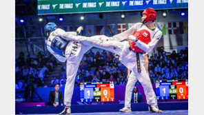 태권도, 유네스코 인류무형유산 남북 공동 등재 추진