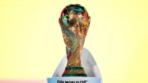 월드컵 입장권 폭등 비판에…FIFA, 최저가 ‘60달러’ 티켓 발매