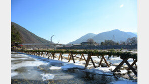 아우라지 섶다리 구경오세요