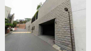 이명희 회장 한남동 자택, 공시가 313억…11년 연속 전국 최고가 단독주택