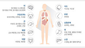 “1회 음주땐 소주 반병·맥주 500㏄”…간격은 최소 2~3일