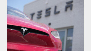 테슬라 주가, 로보택시 기대감에 사상최고치 경신