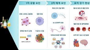 “소주 1잔도 심장엔 독”…국내 연구진이 밝힌 ‘가벼운 음주’의 진실